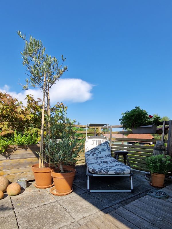 Terrasse mit einer von mediterranen Topfpflanzen umgebenen Sonnenliege.